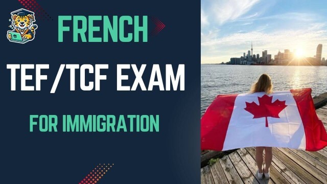 Level TEF TCF French